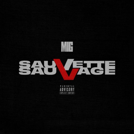 Sauvette Sauvage | Boomplay Music