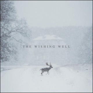 The Wishing Well lyrics | Boomplay Music