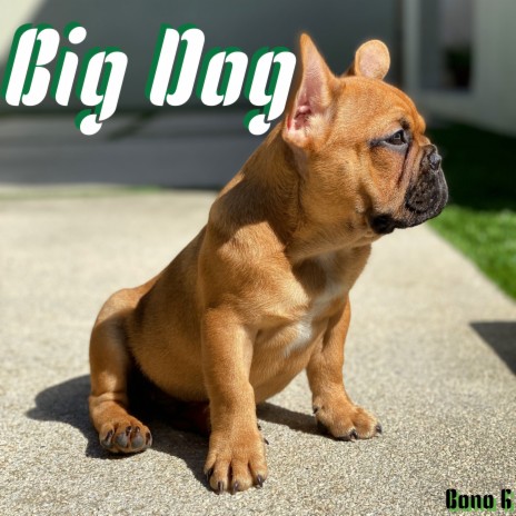 Big Dog | Boomplay Music