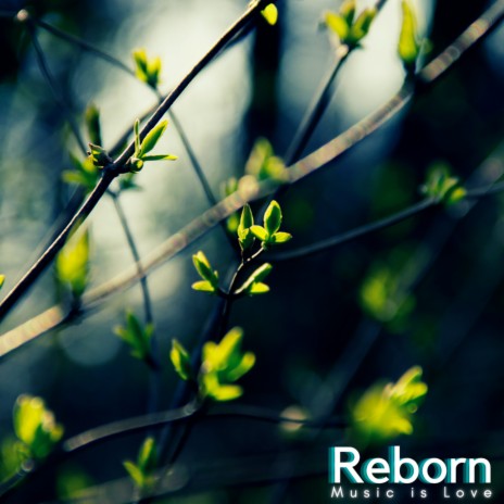 Reborn | Boomplay Music