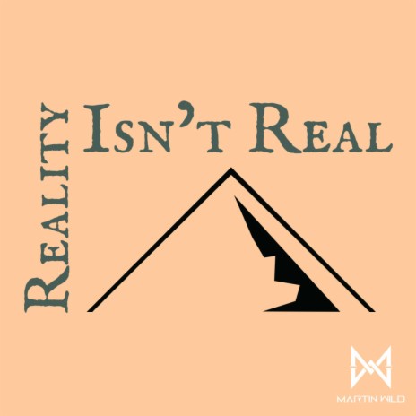 Reality Isn't Real (Radio Edit) | Boomplay Music