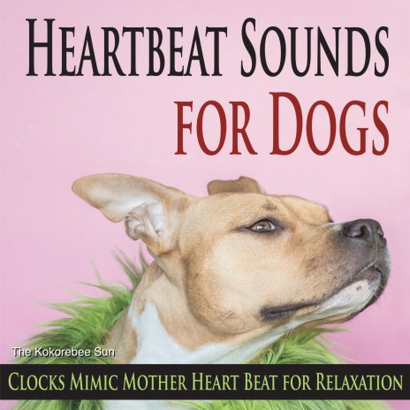 Hypnotic Pulses for Dogs Relaxation | Boomplay Music