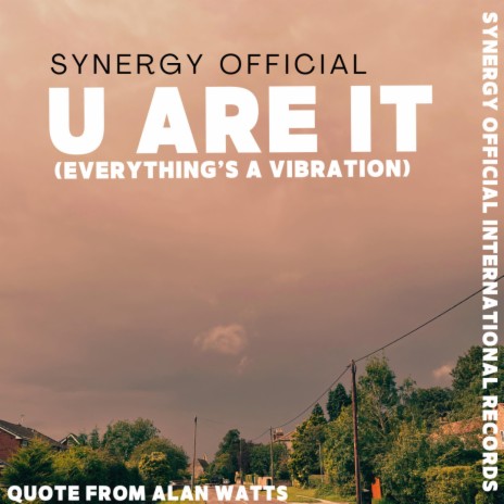 U ARE IT (Everything's a vibration)