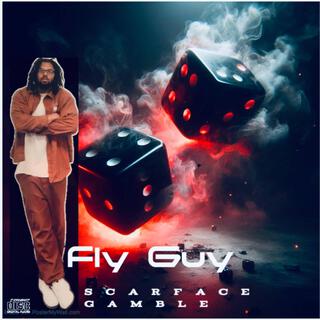 Fly Guy lyrics | Boomplay Music