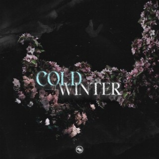 COLD WINTER