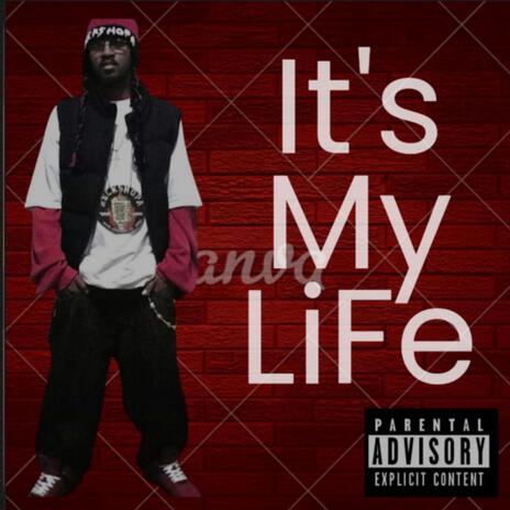 Its My Life | Boomplay Music