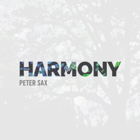 Harmony (Radio Edit) | Boomplay Music
