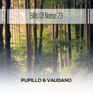 Bills Of Noise 23