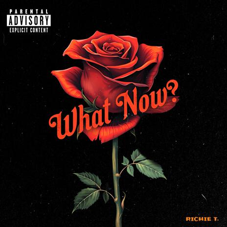 What Now? | Boomplay Music