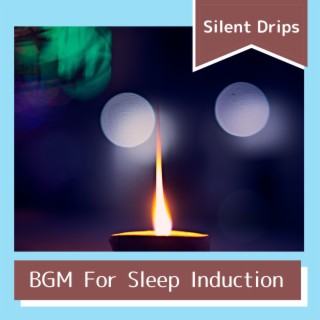 BGM For Sleep Induction