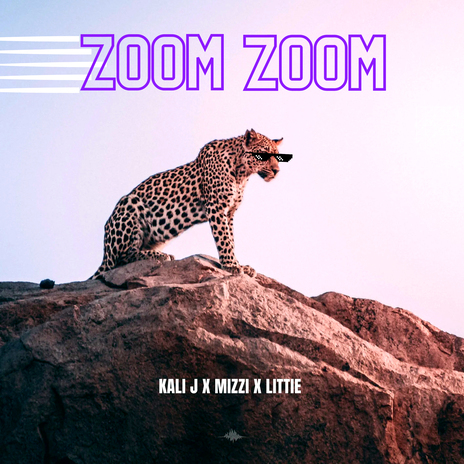 Zoom Zoom ft. Mizzi & LiTTiE | Boomplay Music