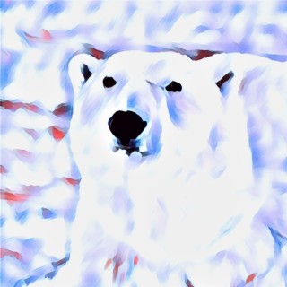 Polar Bear for Christmas ft. CNW lyrics | Boomplay Music
