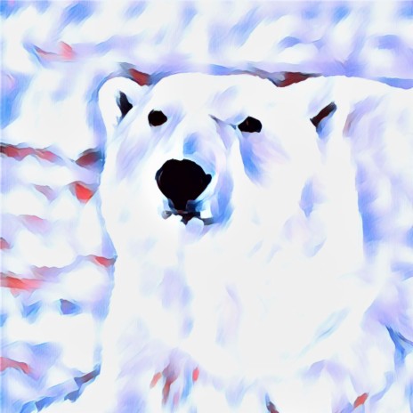 Polar Bear for Christmas ft. CNW | Boomplay Music