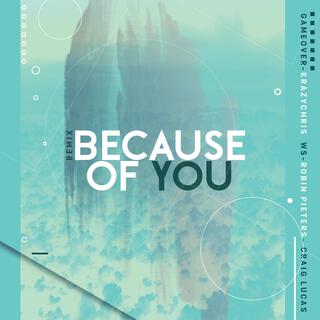 Because of you Remix (Remix)