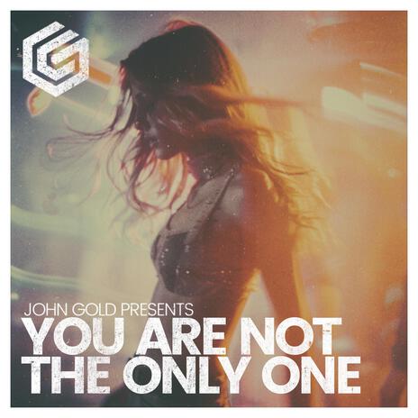 You Are Not The Only One | Boomplay Music