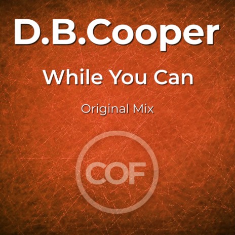 While You Can | Boomplay Music