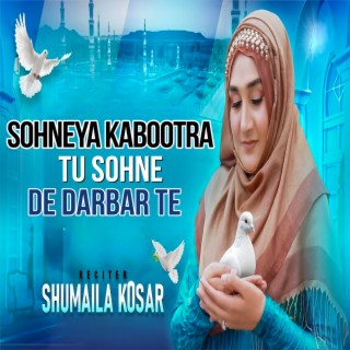 Sohneya Kabootra Tu Sohne De Darbar Te