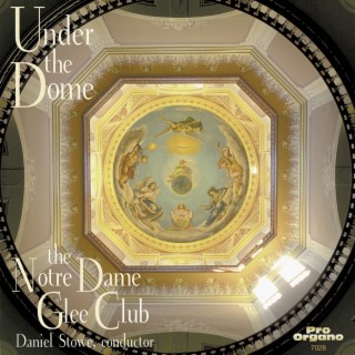 Under the Dome