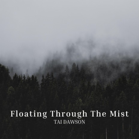 Floating Through the Mist | Boomplay Music