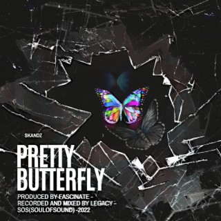 Pretty Butterfly