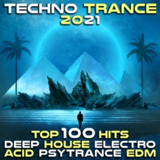 Techno Trance 2021 Top 100 Hits - Deep House Electro Acid Psytrance EDM