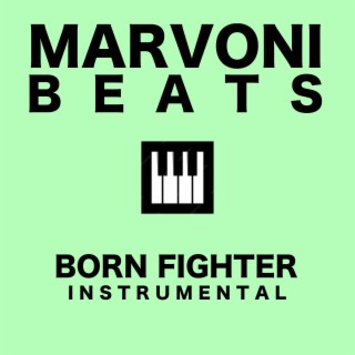 Born Fighter (Dancehall Riddim Instrumental)