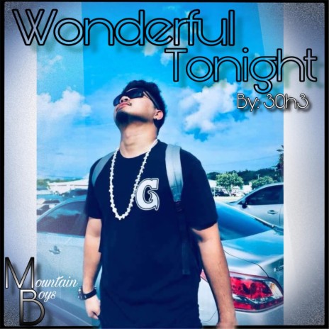 WONDERFUL TONIGHT by Raybo | Boomplay Music