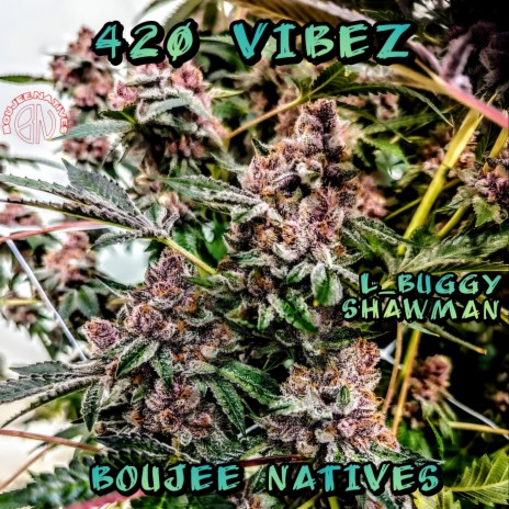 420 VIBEZ | Boomplay Music