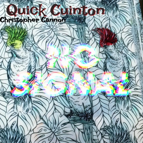 Quick Cuinton | Boomplay Music