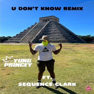 U Don't Know Remix