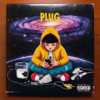 Plug