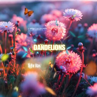 Dandelions lyrics | Boomplay Music