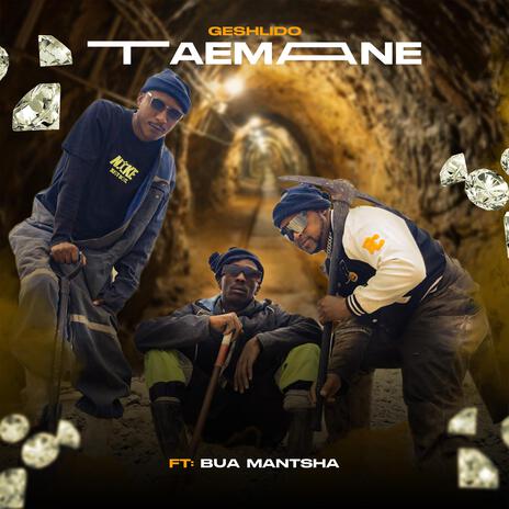 Taemane ft. Bua Mantsha | Boomplay Music