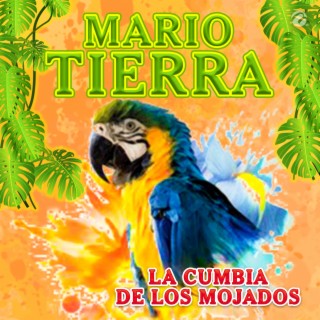 Mario Tierra