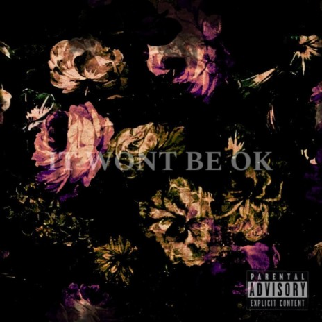 IT WONT BE OK (slowed + reverb) | Boomplay Music