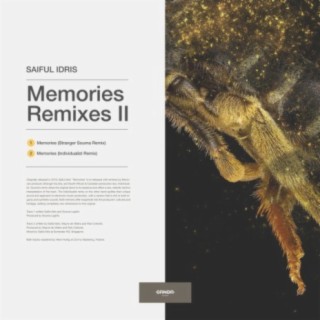 Memories Remixes II