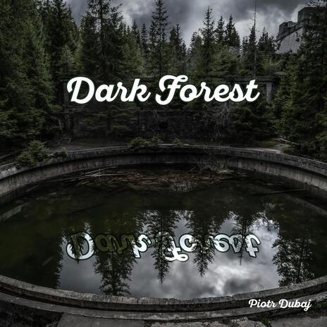 Dark Forest | Boomplay Music