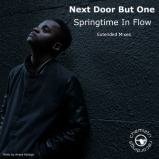 Springtime In Flow (Extended Mixes)
