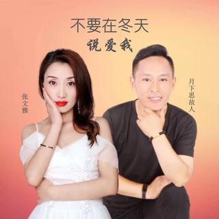 不要在冬天说爱我 ft. 张文雅 lyrics | Boomplay Music