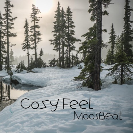 Cozy Feel | Boomplay Music