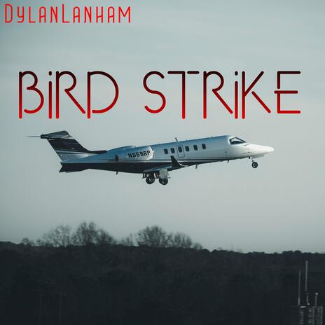 Bird Strike | Boomplay Music