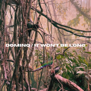 Domino / It Won't Be Long