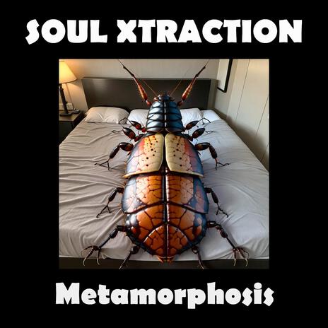 Metamorphosis | Boomplay Music