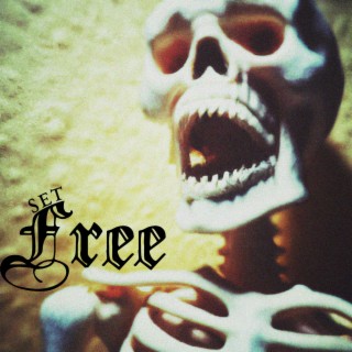 Set free (Cole The VII)