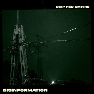 Disinformation