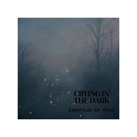 Crying in the Dark | Boomplay Music