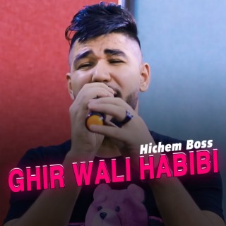 Ghir Wali Habibi