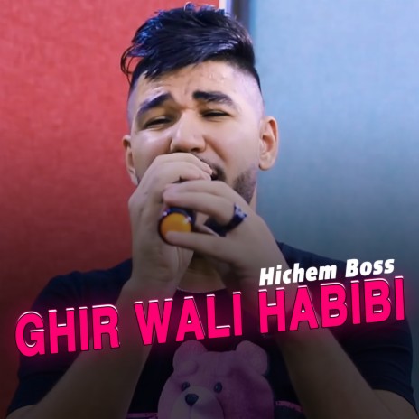Ghir Wali Habibi | Boomplay Music