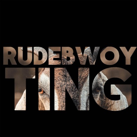 Rudebwoy Ting | Boomplay Music