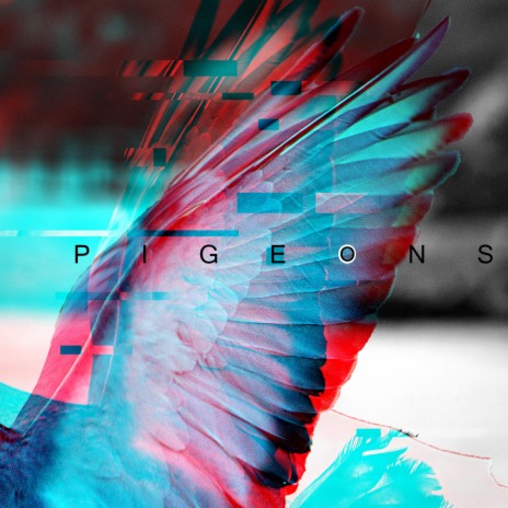 pigeons (re-created)